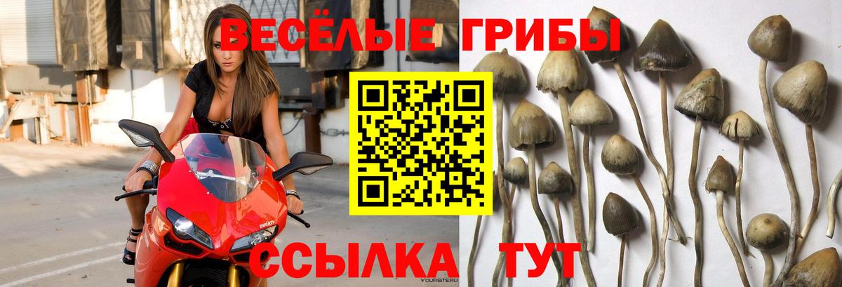 Псилоцибиновые грибы мухоморы  Псилоцибиновые грибы мухоморы  Назарово  Вход с VPN 